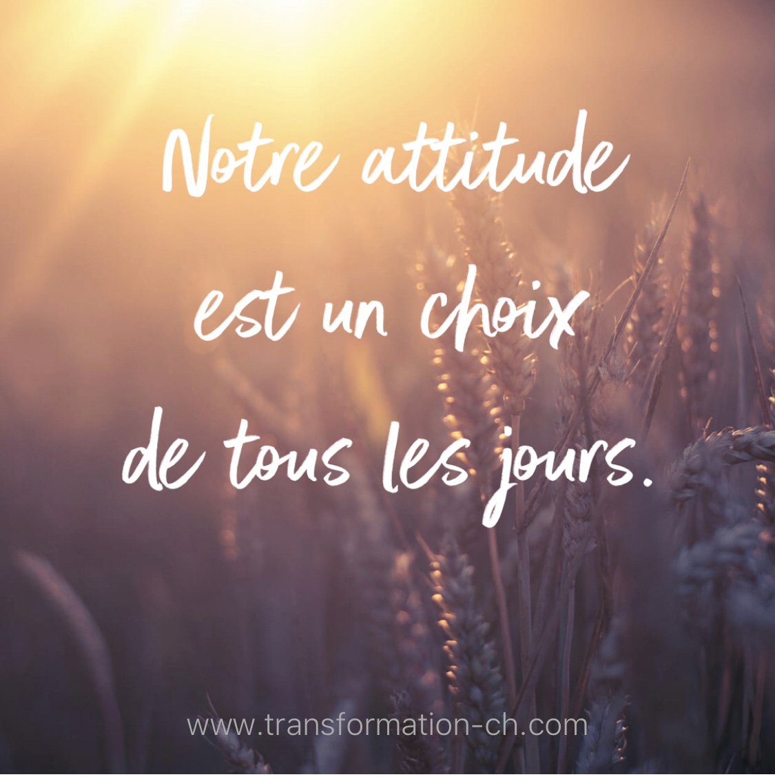 Notre attitude